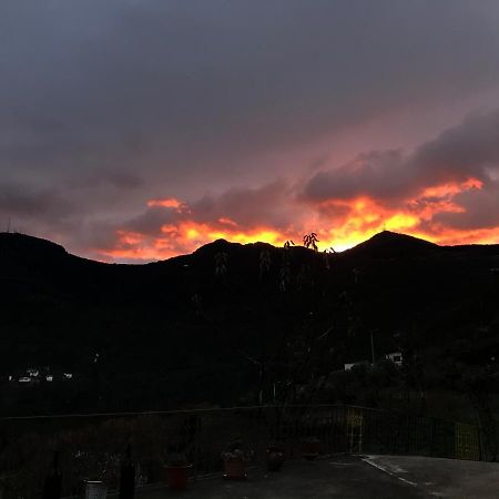 Casa Da Russa Mountain Experience Guest House Vila Real Exterior foto