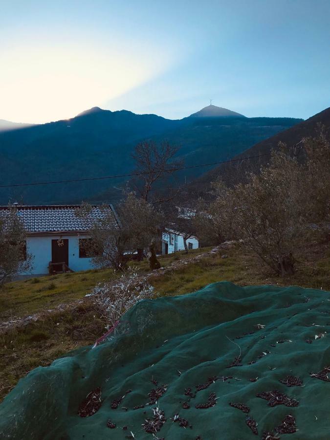 Casa Da Russa Mountain Experience Guest House Vila Real Exterior foto