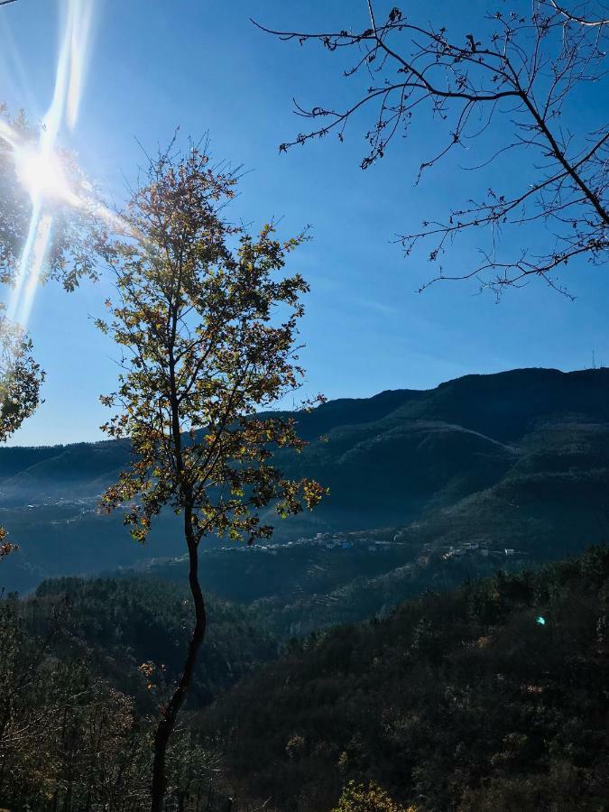 Casa Da Russa Mountain Experience Guest House Vila Real Exterior foto