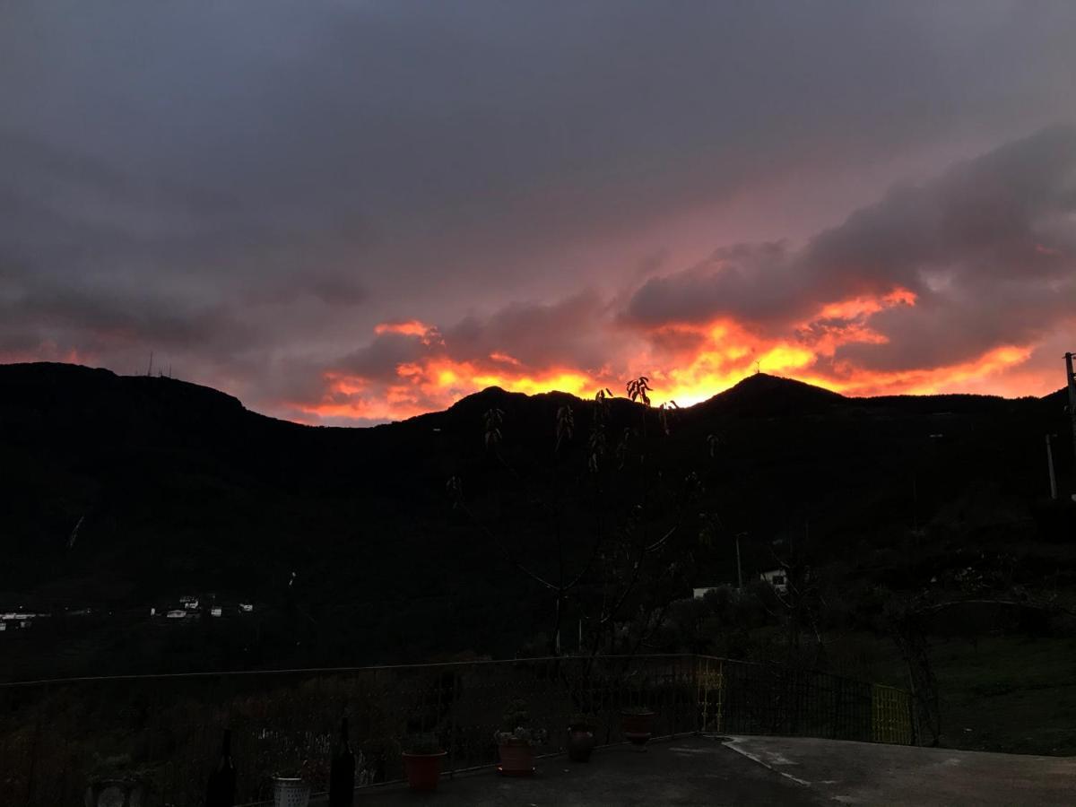 Casa Da Russa Mountain Experience Guest House Vila Real Exterior foto